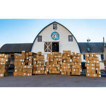 50,000 Tosai in from Japan this March!