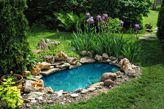 What It Takes To Winterize A Water Garden