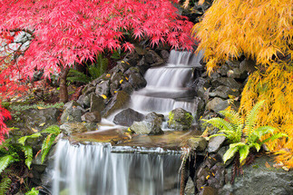 Is Your Waterfall Feature Aerating Your Water Garden Well?