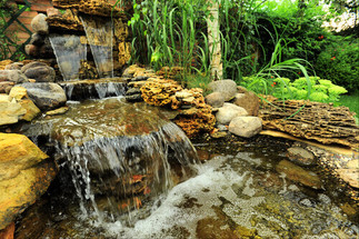 What You Should Know About Pink Pond Water