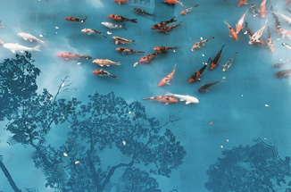 Why Do Koi Fish Jump Out of the Pond & How to Prevent It?