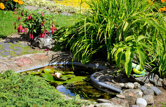 Why Pond Liming Is Important