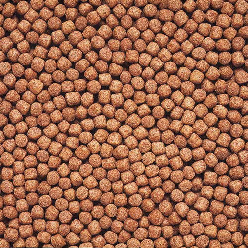 Hikari Wheat Germ 4.4 LB Hikari Wheat Germ 4.4 LB