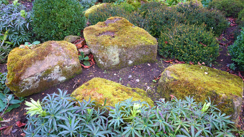 Landscape Planting Landscape Planting