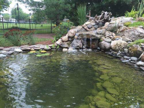 Pond & Bog Build, Piscataway, NJ