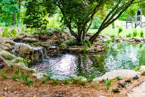 Pond & Bog Build, Branchburg, NJ