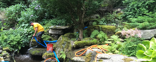 Summer Pond Services Summer Pond Services