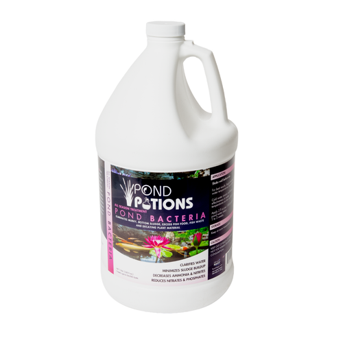 Pond Potions Liquid All-Season Pond Bacteria