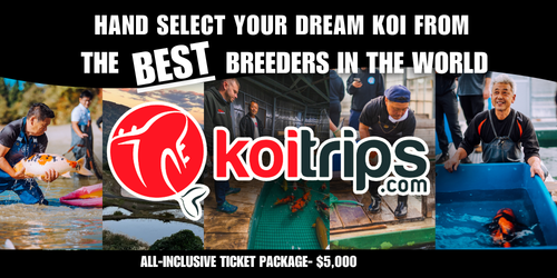Koi Trips USA_ All Inclusive_Ticket Koi Trips USA_ All Inclusive_Ticket