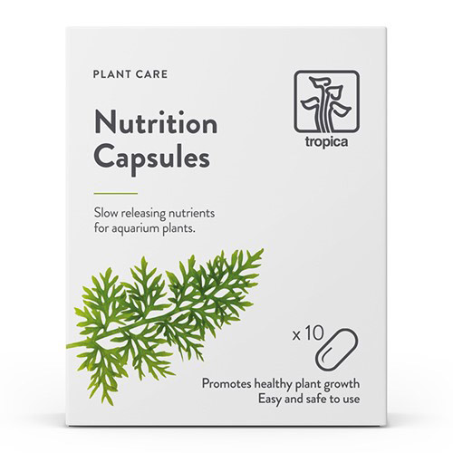 Tropica Nutrition Capsules 10ct Tropica Nutrition Capsules 10ct