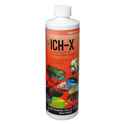 Front view of Ich-X 16-ounce aquarium treatment in a tall plastic bottle with screw cap and full product label. Front view of Ich-X 16-ounce aquarium treatment in a tall plastic bottle with screw cap and full product label.