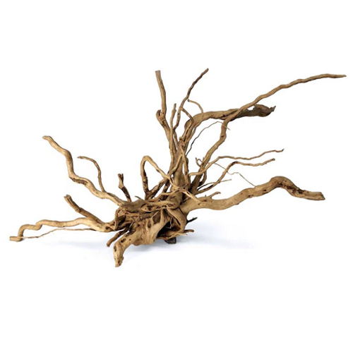 A piece of natural Spider Wood with a twisted, intricate branching structure. The driftwood has a light brown color with smooth yet textured surfaces. The base is thick and gnarled, while multiple slender branches extend in various directions, creating an organic, root-like appearance. The wood has a weathered look, making it a popular choice for aquascaping and terrarium designs. The background is plain white, highlighting the detailed structure of the driftwood. A piece of natural Spider Wood with a twisted, intricate branching structure. The driftwood has a light brown color with smooth yet textured surfaces. The base is thick and gnarled, while multiple slender branches extend in various directions, creating an organic, root-like appearance. The wood has a weathered look, making it a popular choice for aquascaping and terrarium designs. The background is plain white, highlighting the detailed structure of the driftwood.