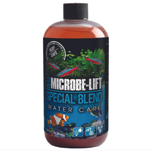 Special Blend 16 oz Special Blend 16 oz