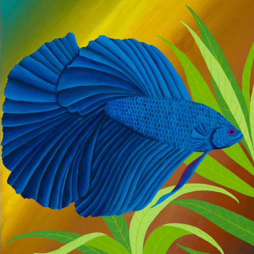 Blue Betta acrylic painting on canvas