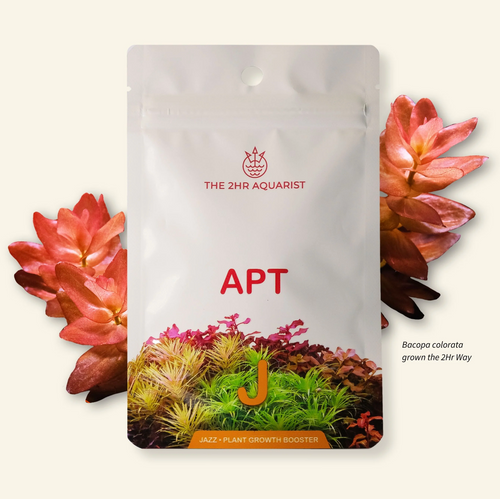 2Hr Aquarist APT Jazz (18 caps) 2Hr Aquarist APT Jazz (18 caps)