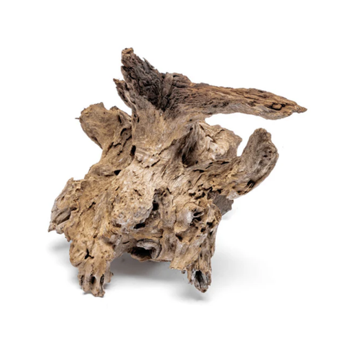 Medium Madra Wood Medium Madra Wood