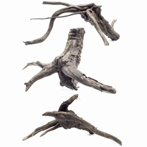 Three pieces of Black Forest Spider Wood, each with a dark, weathered appearance and intricate branching structures. The driftwood has a deep brown to black coloration with rough, textured surfaces and natural imperfections like knots, cracks, and small holes. Each piece features a thick, sturdy base with elongated, twisted branches extending outward in various directions. The wood’s rugged, aged look makes it ideal for aquascaping, terrariums, and reptile enclosures, creating a natural, organic aesthetic. The plain white background highlights the intricate details and unique shapes of each piece. Three pieces of Black Forest Spider Wood, each with a dark, weathered appearance and intricate branching structures. The driftwood has a deep brown to black coloration with rough, textured surfaces and natural imperfections like knots, cracks, and small holes. Each piece features a thick, sturdy base with elongated, twisted branches extending outward in various directions. The wood’s rugged, aged look makes it ideal for aquascaping, terrariums, and reptile enclosures, creating a natural, organic aesthetic. The plain white background highlights the intricate details and unique shapes of each piece.