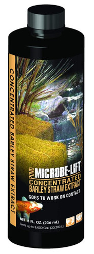 Front view of MICROBE-LIFT Concentrated Barley Straw Extract 8 oz bottle, displaying the product name, volume, and key features on the label. Front view of MICROBE-LIFT Concentrated Barley Straw Extract 8 oz bottle, displaying the product name, volume, and key features on the label.