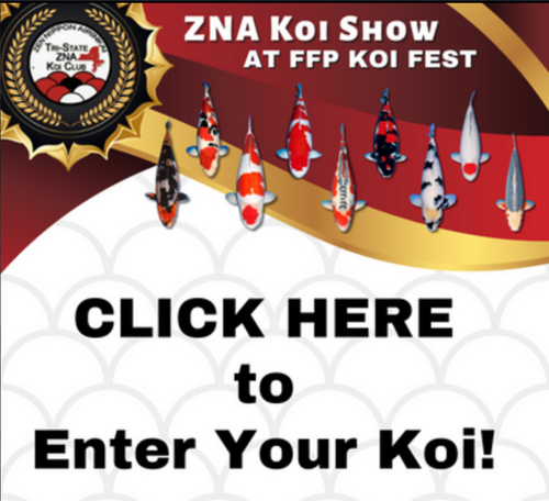 Enter a Koi in the 2025 Tri State ZNA contest! Enter a Koi in the 2025 Tri State ZNA contest!