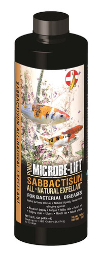 Front view of 16 oz. (473 mL) Sabbactisun Ready-to-Use Concentrate bottle designed for treating fish diseases and improving pond water quality. Front view of 16 oz. (473 mL) Sabbactisun Ready-to-Use Concentrate bottle designed for treating fish diseases and improving pond water quality.