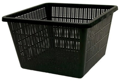 Side profile of the Plant Basket 10in Square, highlighting its sturdy construction and the open weave of the mesh for water flow and root growth. Side profile of the Plant Basket 10in Square, highlighting its sturdy construction and the open weave of the mesh for water flow and root growth.