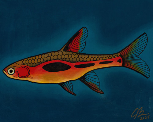 chili rasbora acrylic painting on canvas