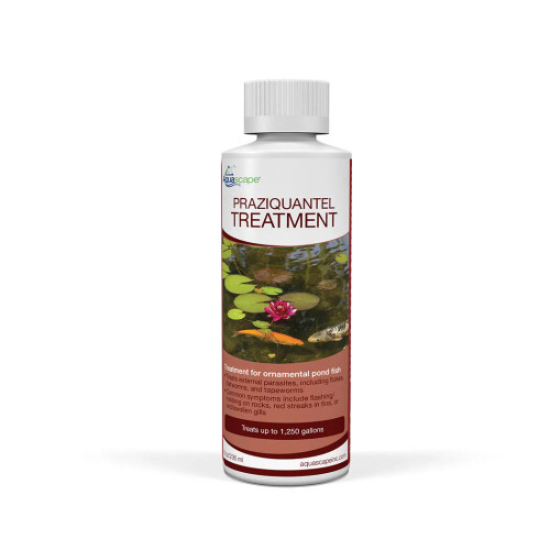 Front view of Praziquantel Treatment – 8 oz (236 ml) bottle, displaying the product label, branding, and dosage information clearly. Front view of Praziquantel Treatment – 8 oz (236 ml) bottle, displaying the product label, branding, and dosage information clearly.