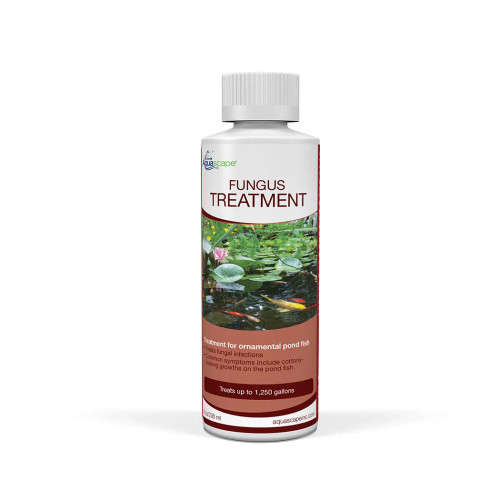 Front view of Fungus Treatment – 8 oz (236 ml) bottle, displaying the product label, branding, and usage instructions clearly. Front view of Fungus Treatment – 8 oz (236 ml) bottle, displaying the product label, branding, and usage instructions clearly.