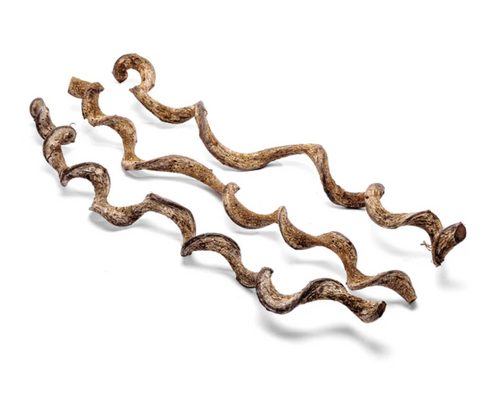 Jungle Vine Wood Medium