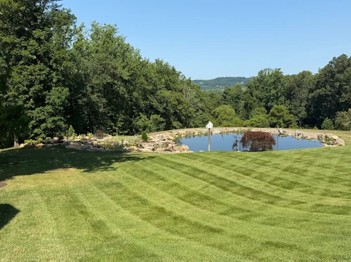 One Year Later: How the Vaynerchuk Recreation Pond Has Come to Life