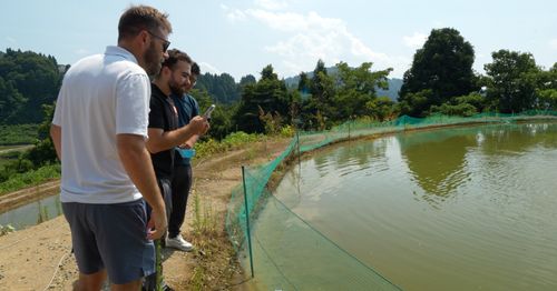 Behind the Curtains: Fitz’s Fish Ponds & Luke’s Goldies Explore Japan’s Secret Koi World