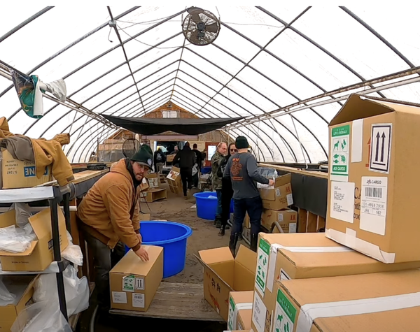 How We Transport Koi Fish: A Behind-the-Scenes Look