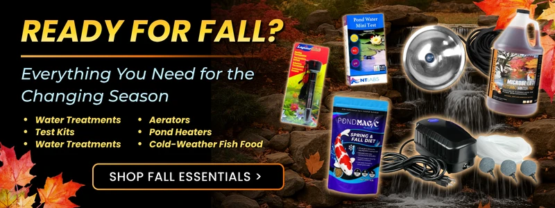 Ready for Fall? Shop fall essentials