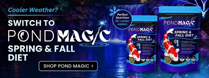 Switch to Pond Magic Spring and Fall Diet
