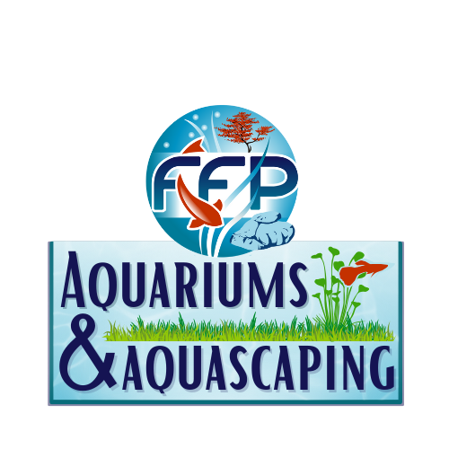 planted aquariums, aquascaping, aquariums, fish