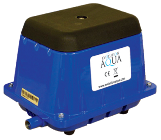 Shop the collection of pond pumps and pond pump systems.