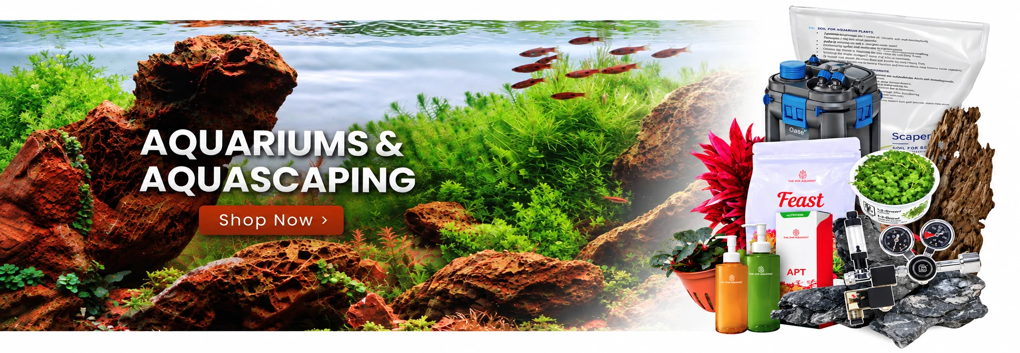 Aquariums & Aquascaping — Shop Now