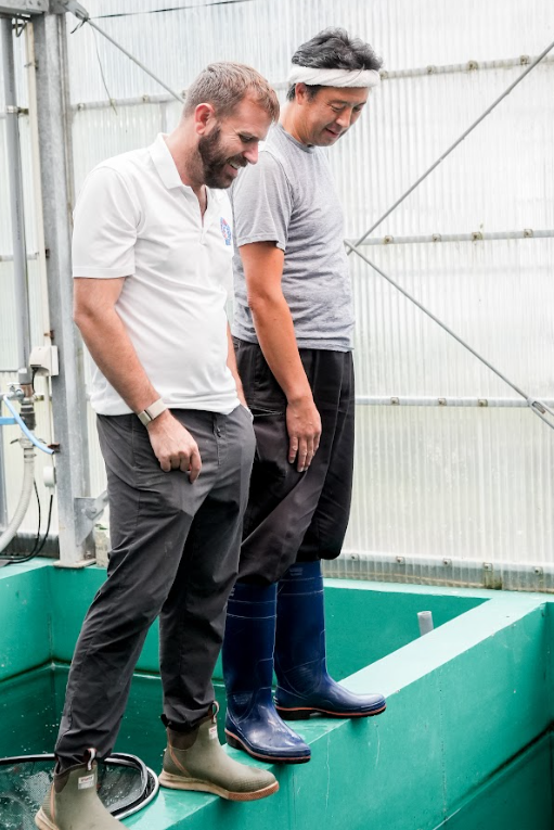 Aokiya Koi Farm is a rising name in Japan’s koi industry, known for Goshiki, Doitsu Showa, and other rare varieties with sharp color and contrast.