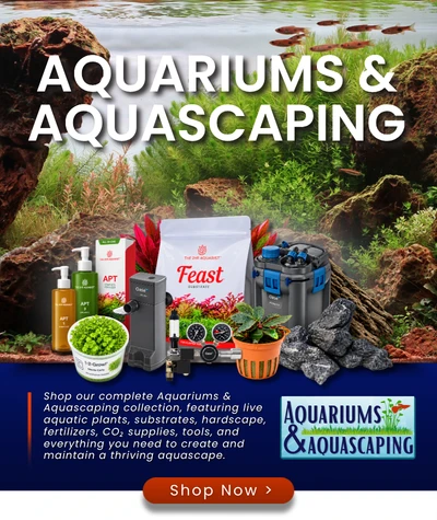 Aquariums & Aquascaping — Shop Now
