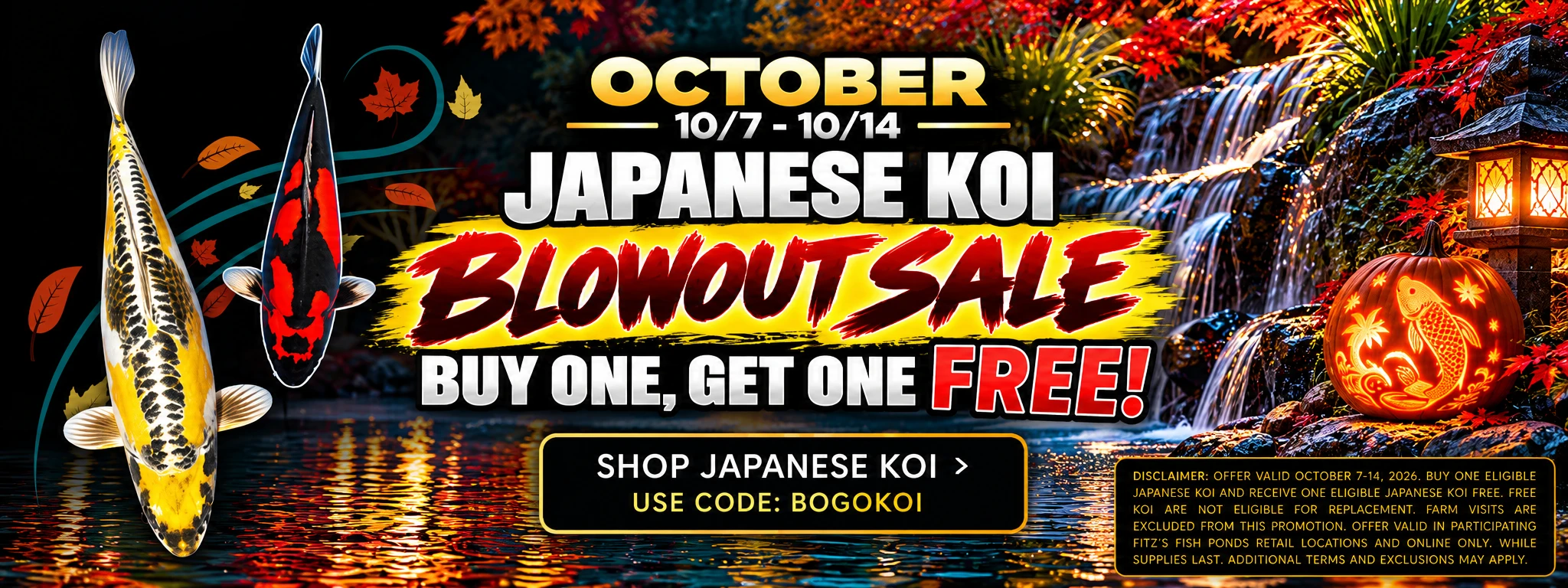 Blow out Sale