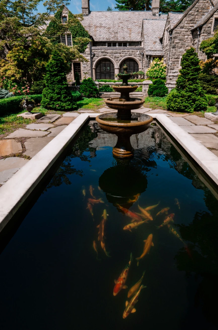 Custom koi pond by Fitz's Fish Ponds