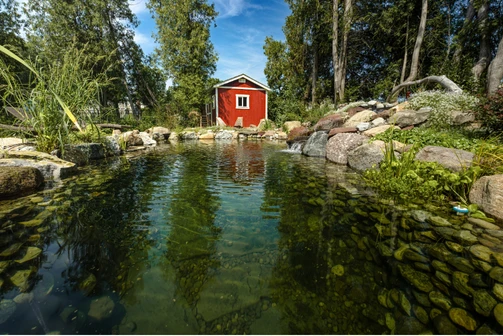 Natural pond with a red barn in the background