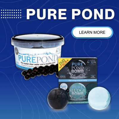 purepond.png
