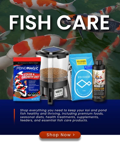 Fish Care — Shop Now