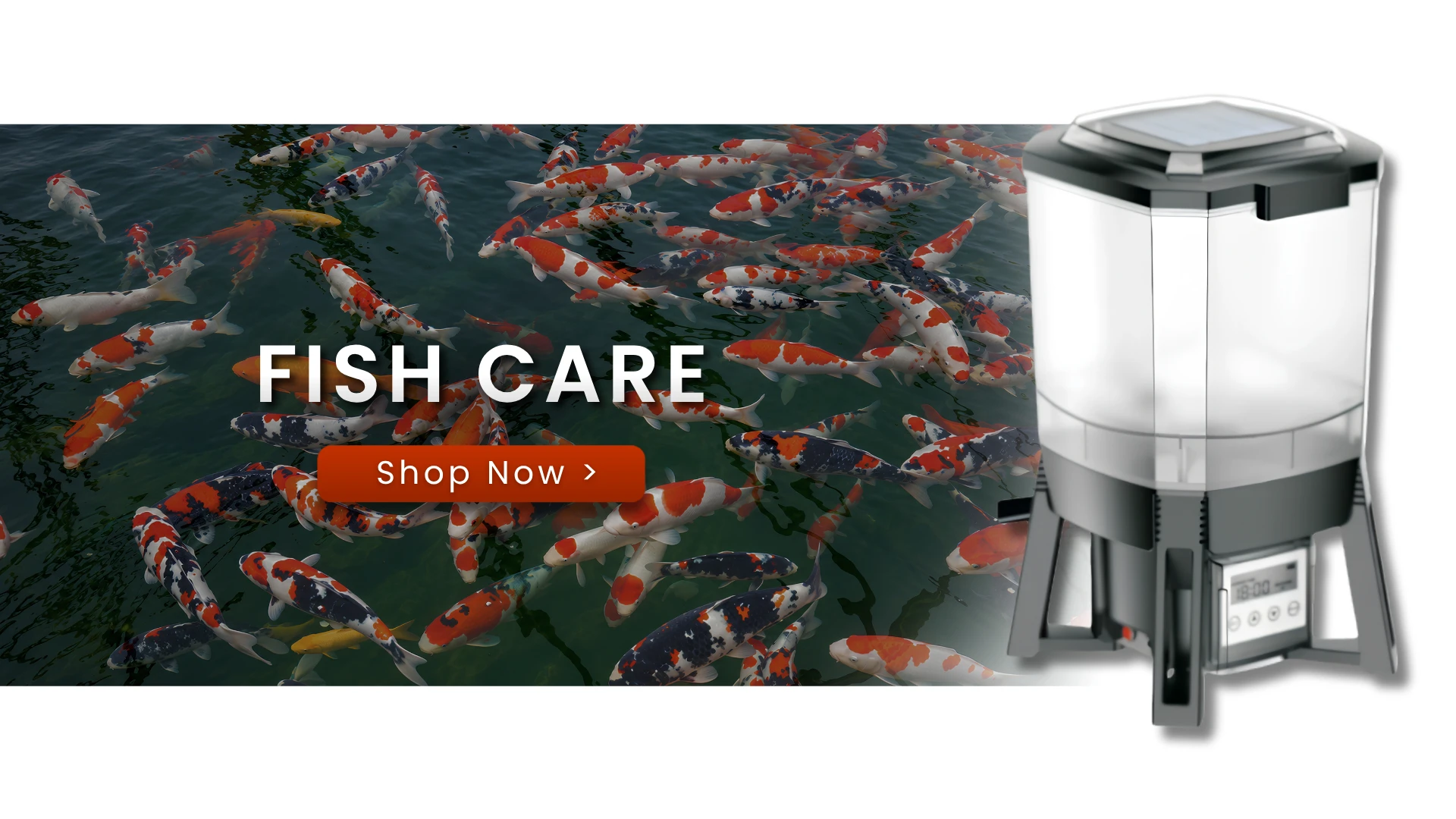 Fish Care — Shop Now
