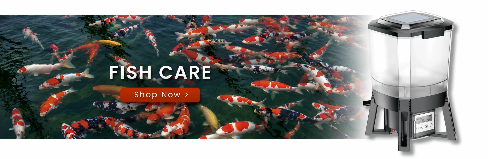 Fish Care — Shop Now