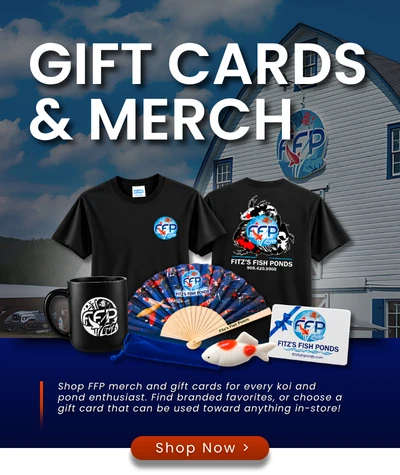 Gift Cards & Merch — Shop Now