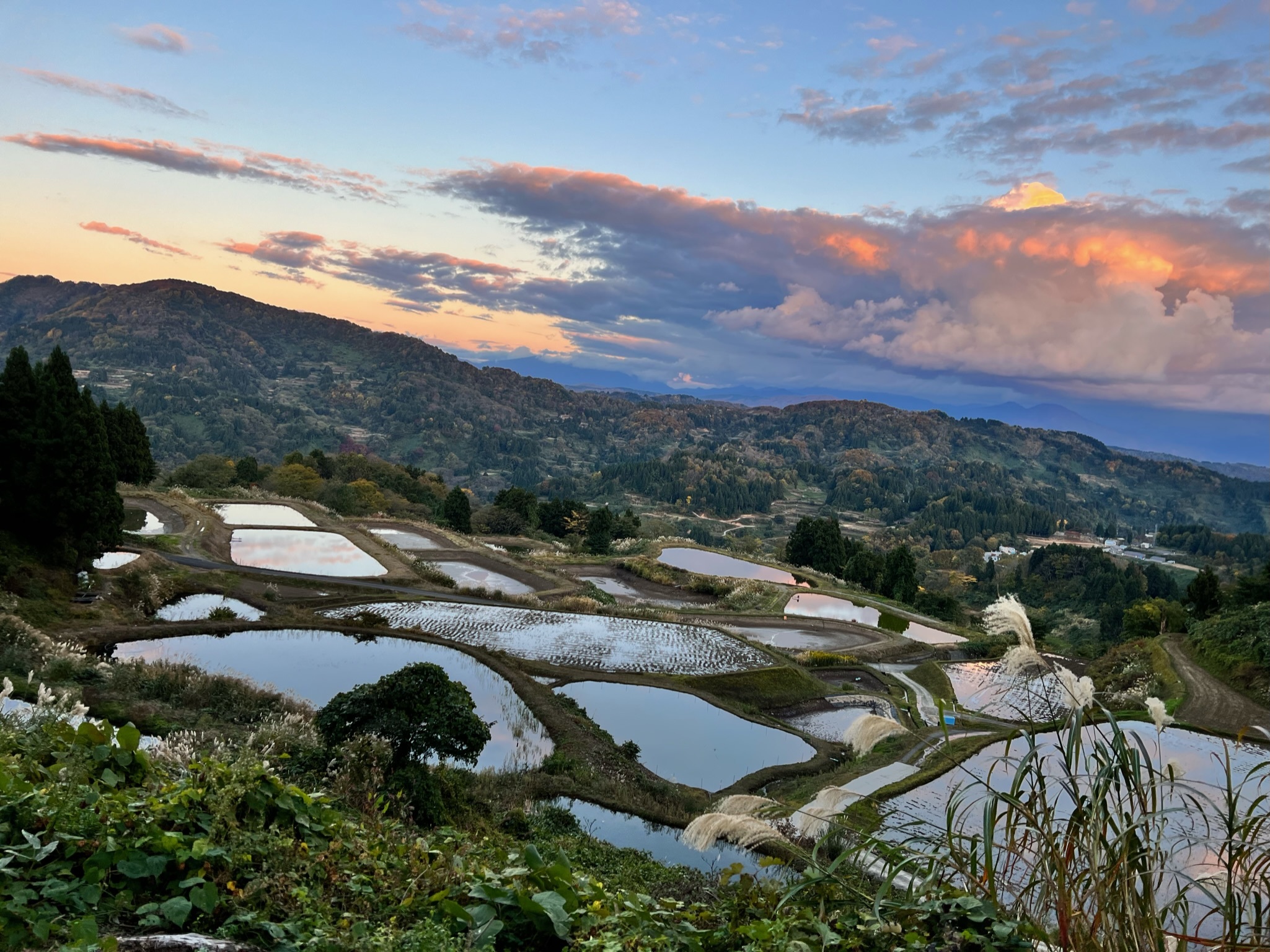 Mud ponds in Japan in the fall 