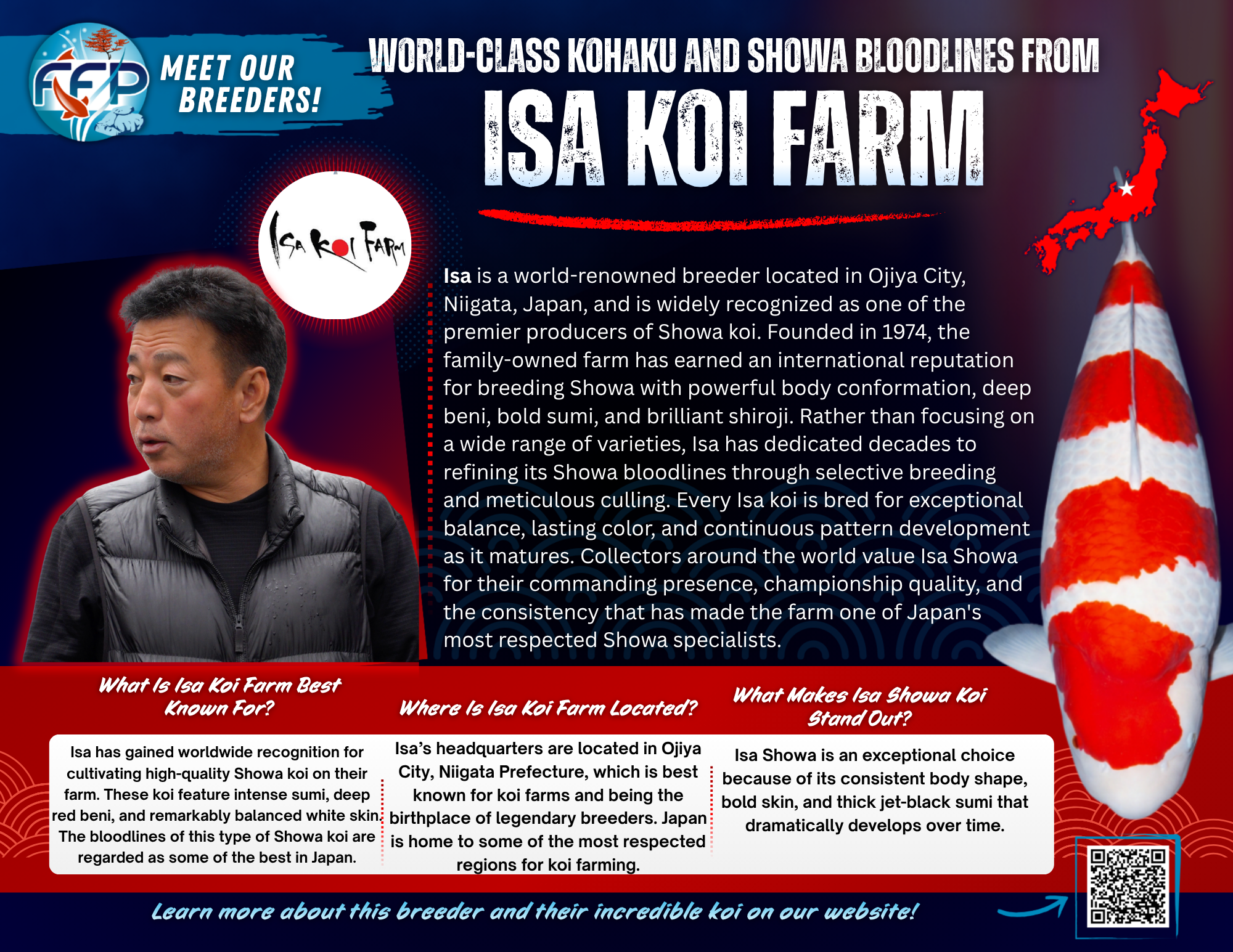 There’s a reason Showa from Isa doesn’t last long once they reach the market. Their fish exhibit the exact kind of quality that stands out in a pond or show bowl, elegant yet strong, classic yet forward-looking. When koi enthusiasts discuss Showa that truly make an impact, Isa’s name always enters the conversation.