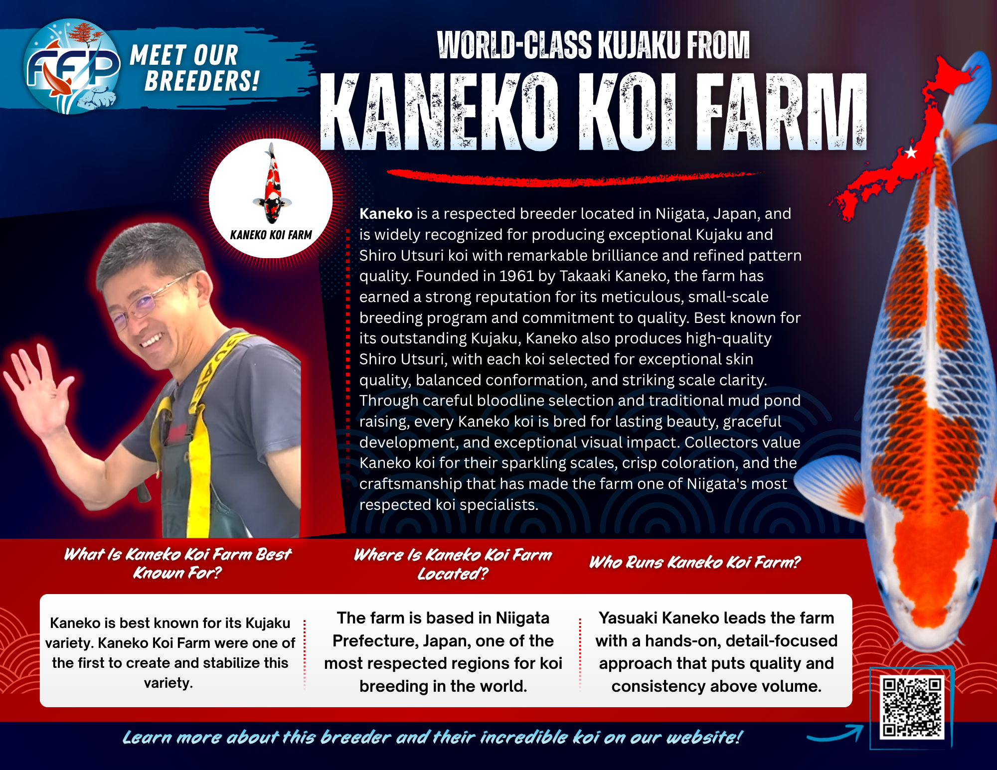 Kanno Koi Farm, located in the renowned Yamakoshi area of Nagaoka City, Niigata Prefecture, is a name that carries serious weight in the world of Japanese koi. Founded by Hiroshi Hirasawa and now operated by Kazuhiro Hirasawa, the farm is best known for one thing — Goshiki. And not just any Goshiki. Kanno is internationally recognized as the “King of Goshiki” thanks to its unique breeding style and years of refinement.